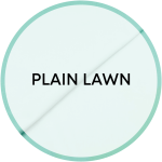 Plain Lawn