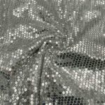 Sequin Georgette Silver